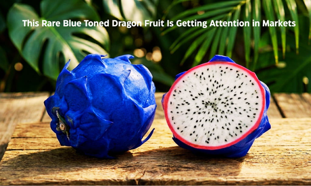 dragon fruit with blue outer skin and white inner flesh tropical fruit