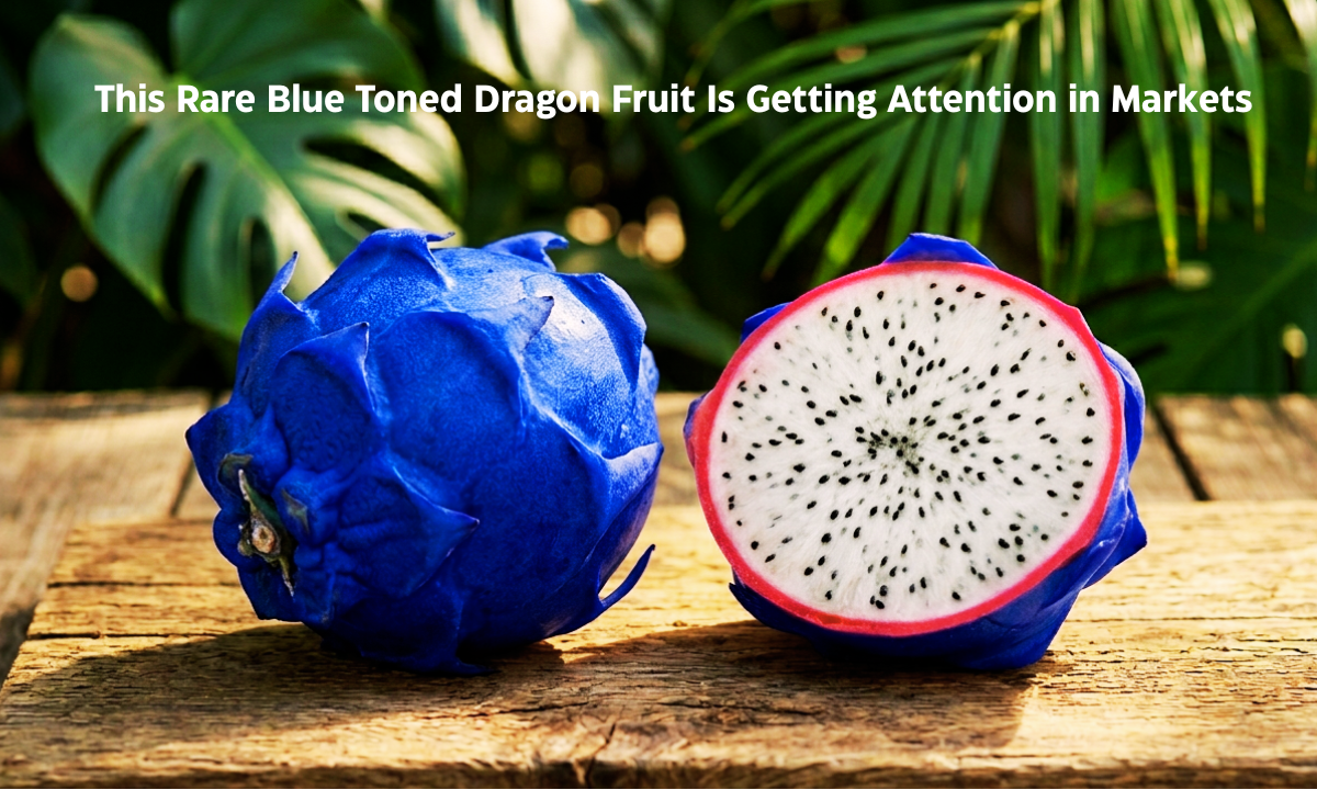 dragon fruit with blue outer skin and white inner flesh tropical fruit